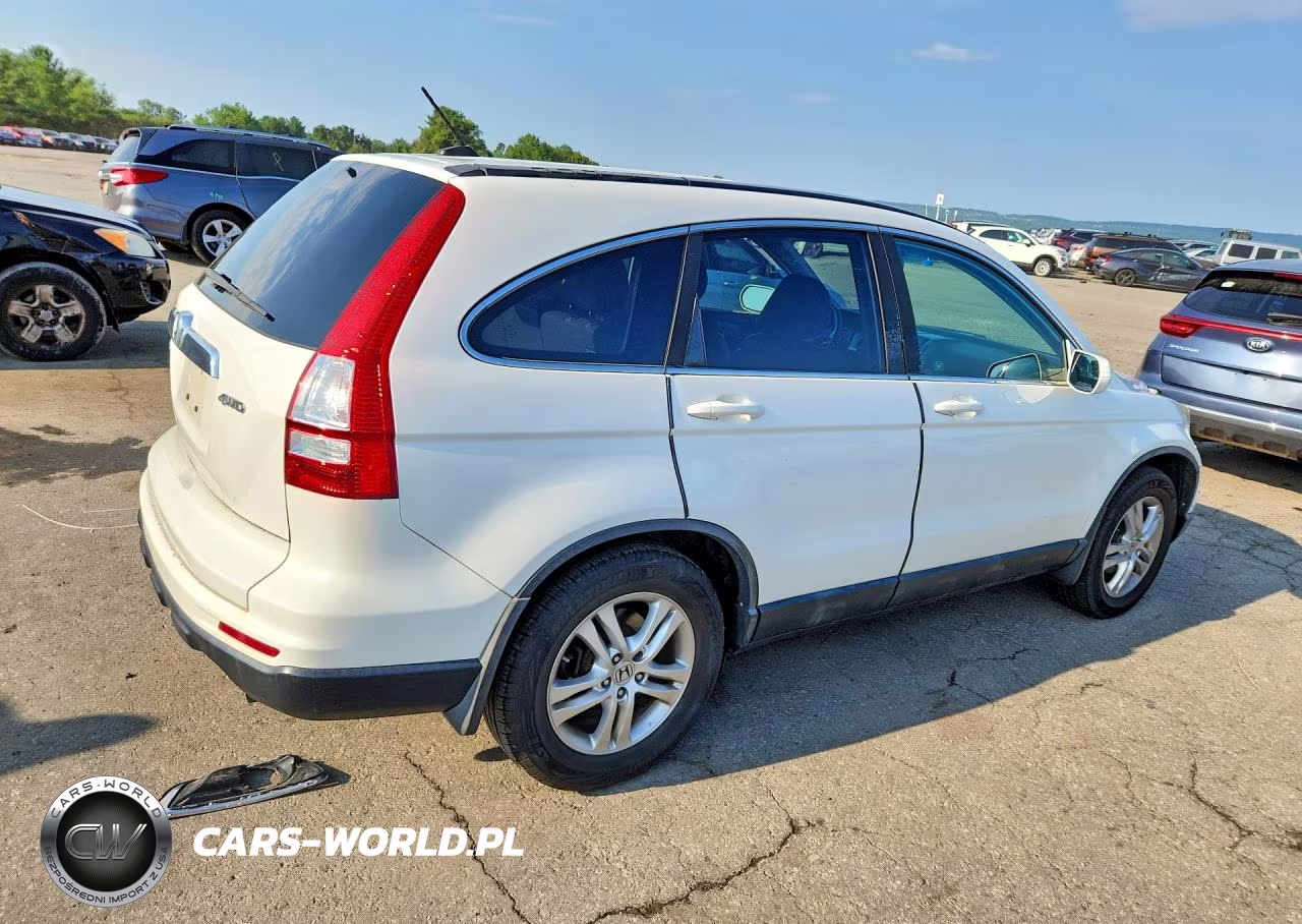2010 Honda Cr-V Exl VIN:5J6RE4H73AL038317 - 3