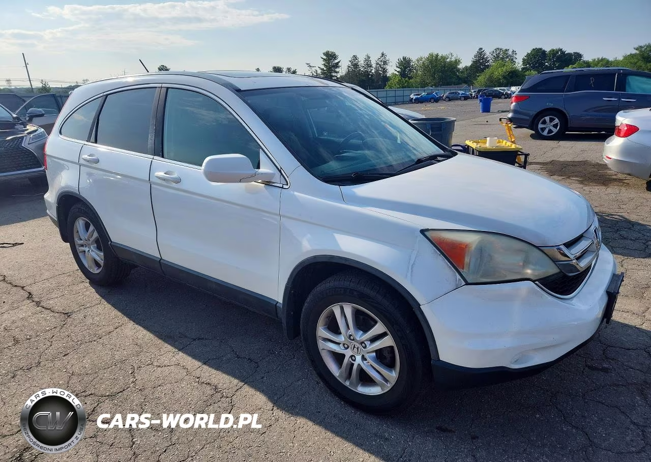 2010 Honda Cr-V Exl VIN:5J6RE4H73AL038317 - 4