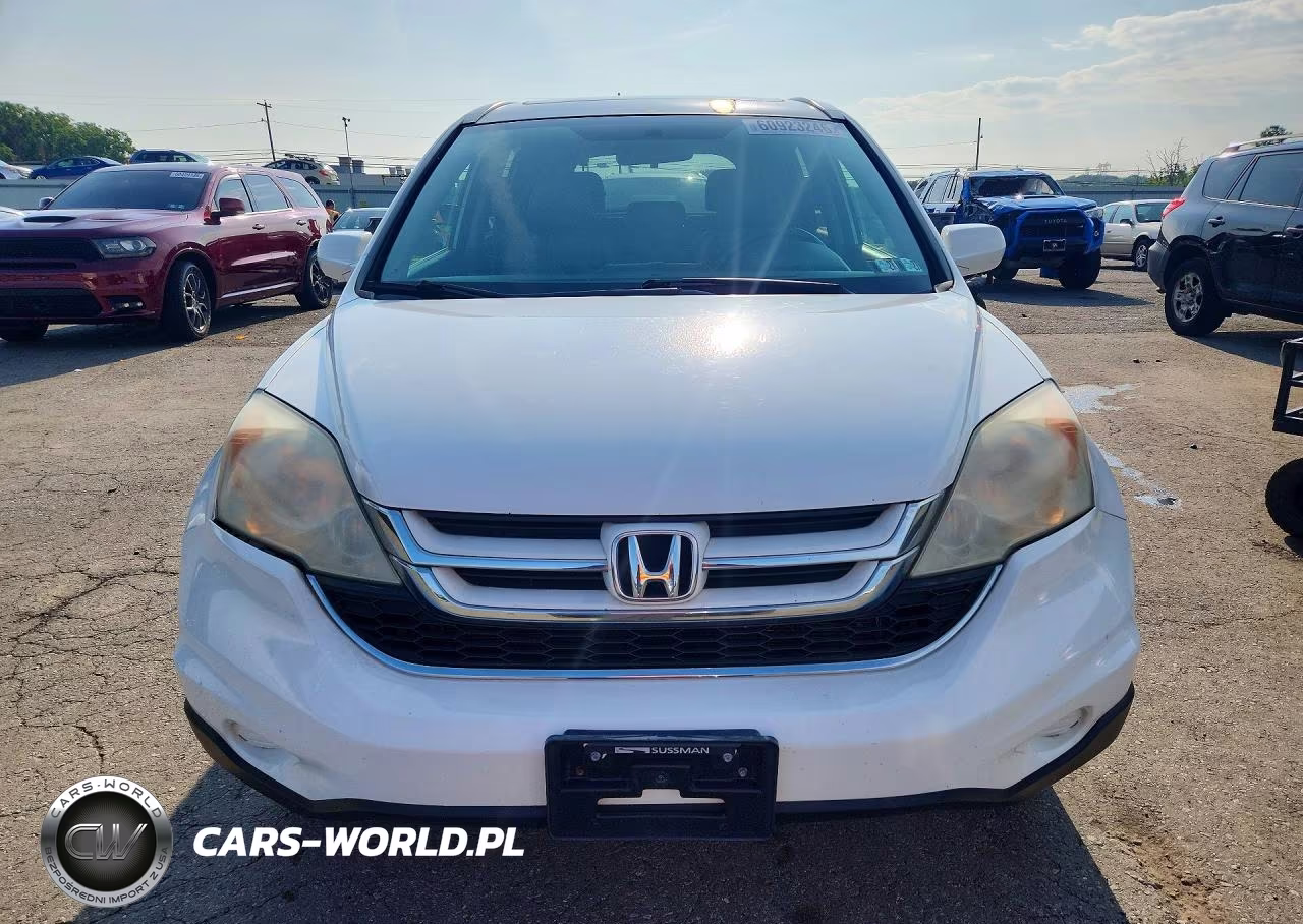 2010 Honda Cr-V Exl VIN:5J6RE4H73AL038317 - 5