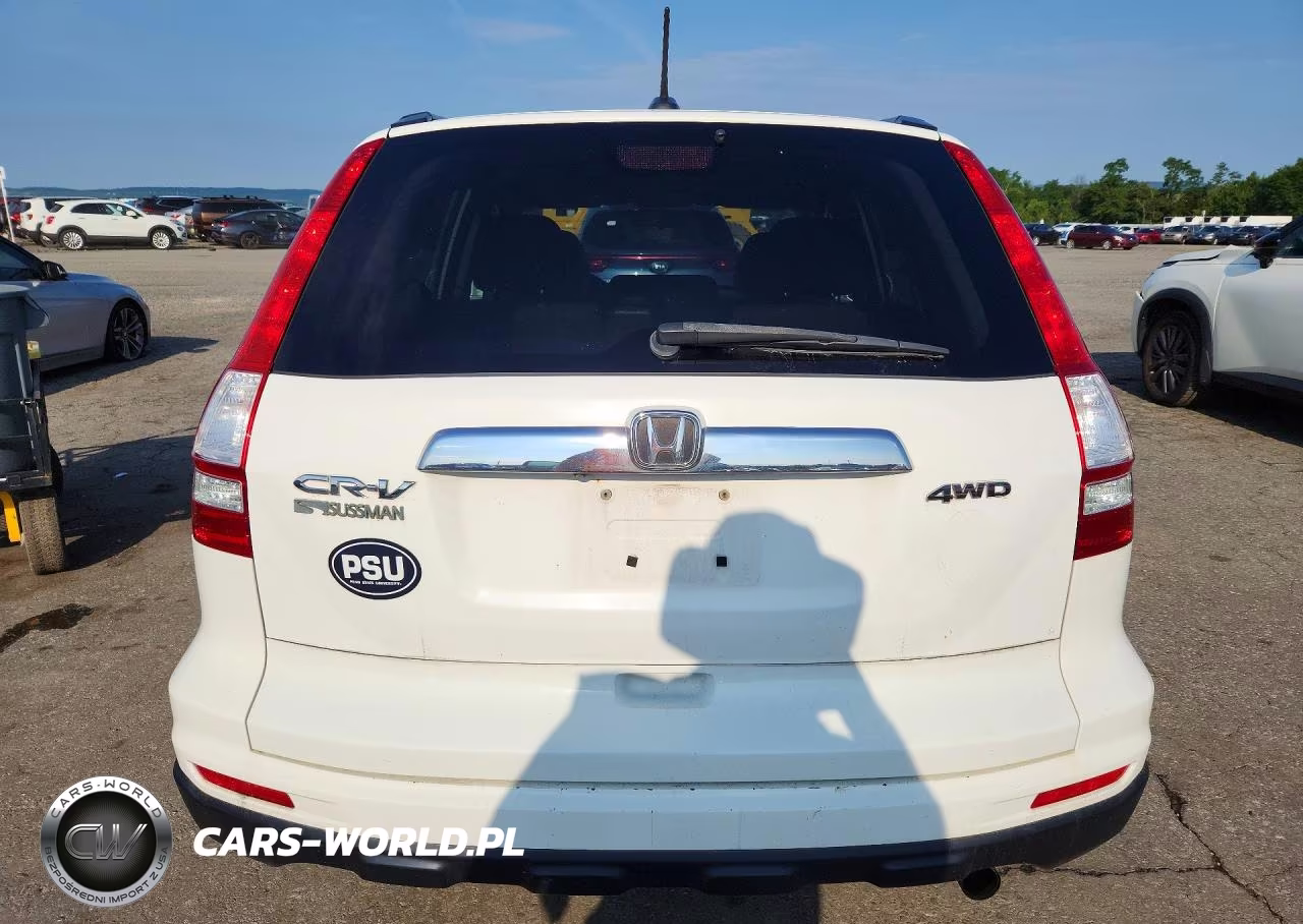 2010 Honda Cr-V Exl VIN:5J6RE4H73AL038317 - 6