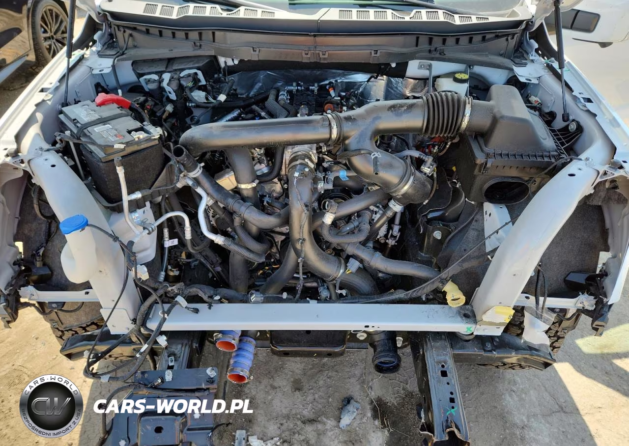 2024 Ford F150 Tremor VIN:1FTFW4L89RFB91123 - 11
