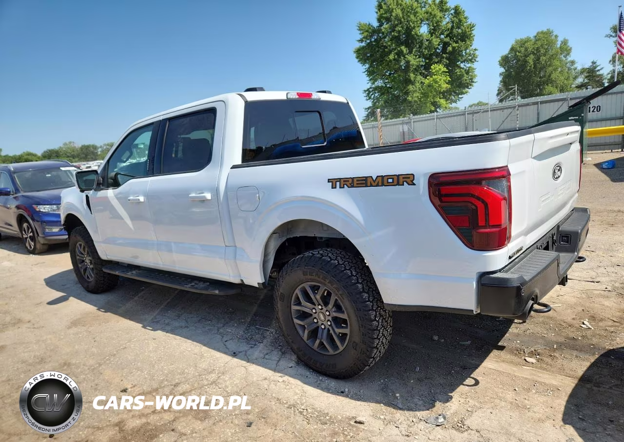 2024 Ford F150 Tremor VIN:1FTFW4L89RFB91123 - 2