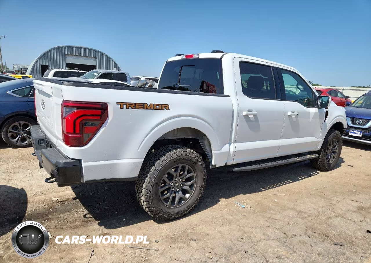 2024 Ford F150 Tremor VIN:1FTFW4L89RFB91123 - 3