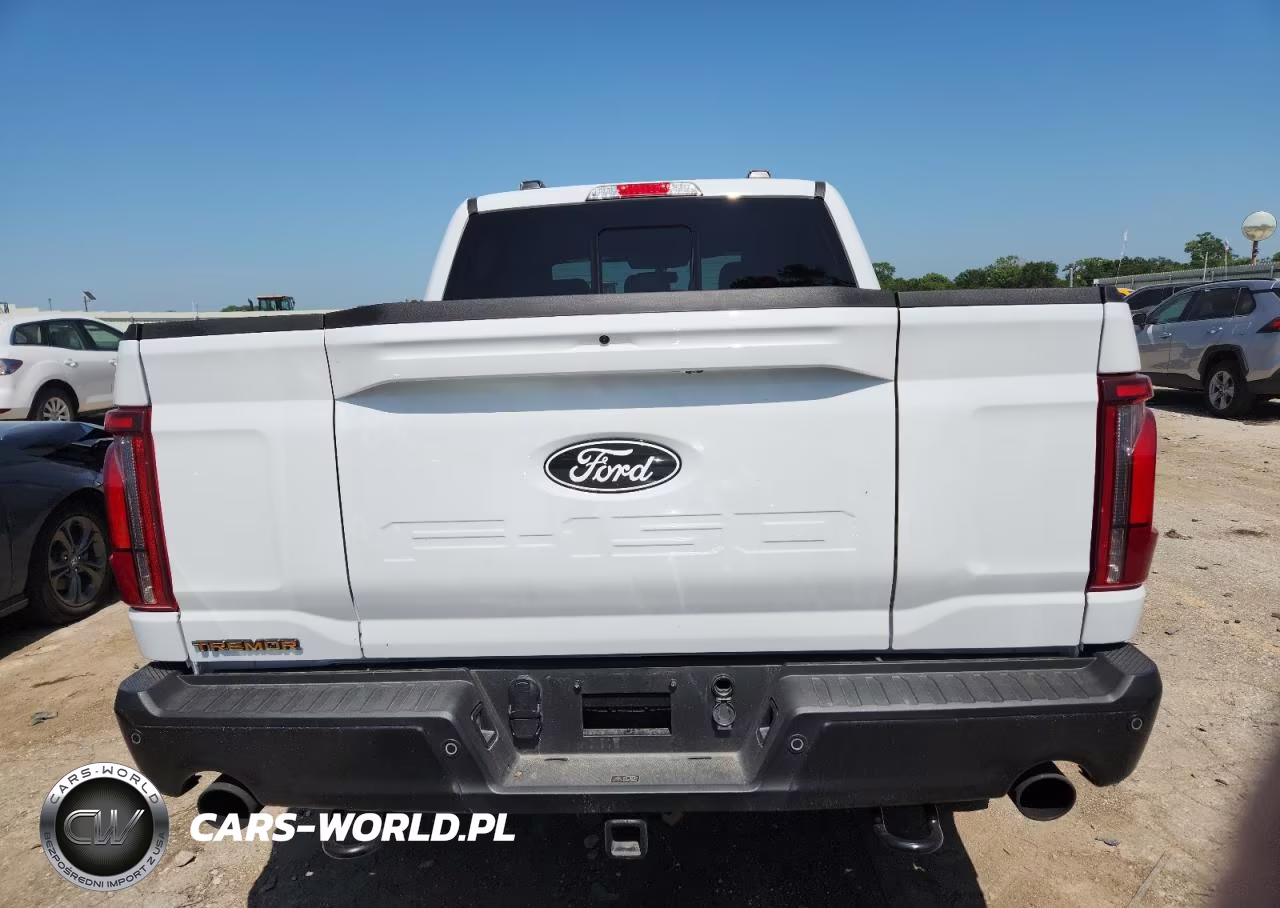 2024 Ford F150 Tremor VIN:1FTFW4L89RFB91123 - 6