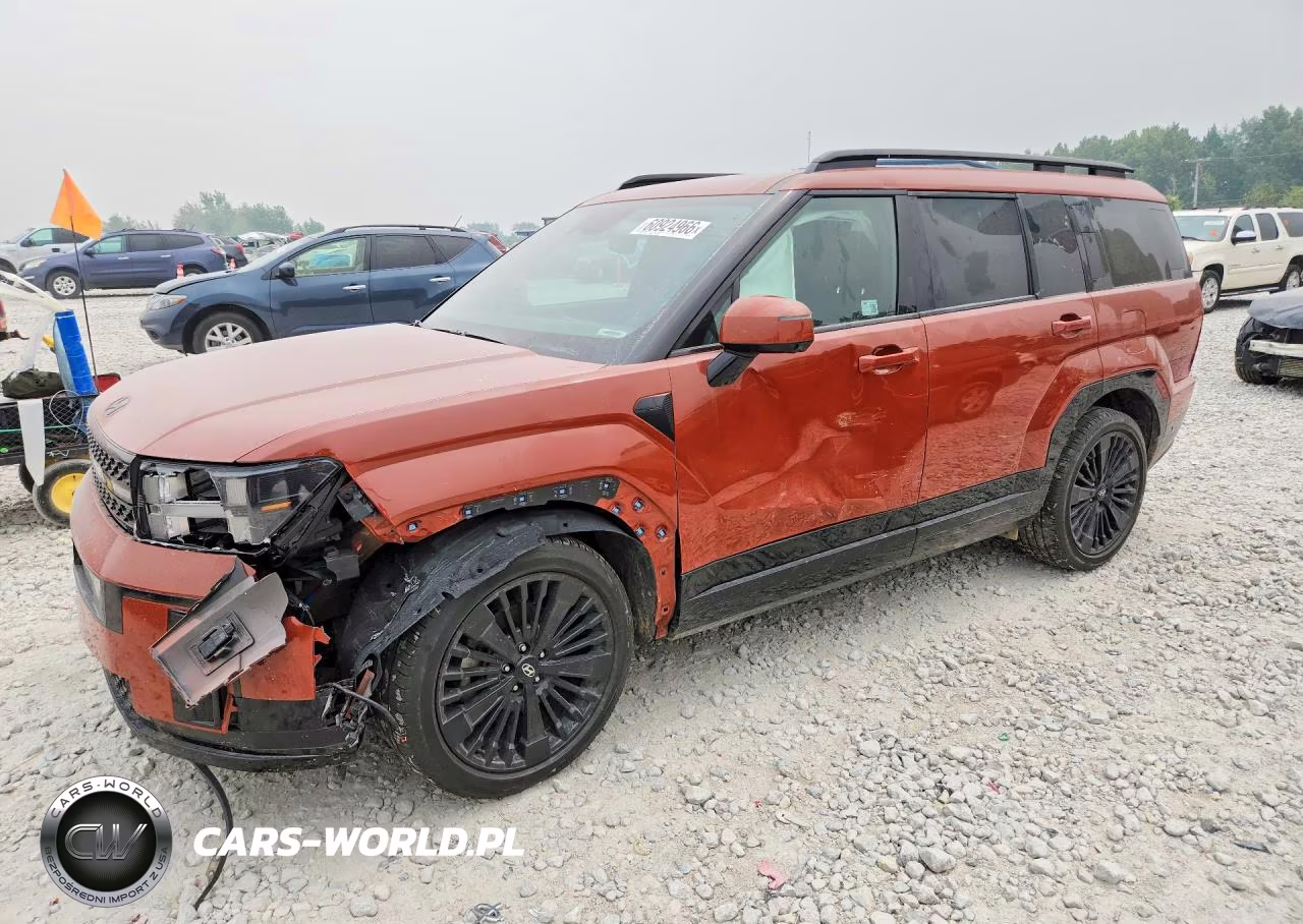 2025 Hyundai Santa Fe Calligraphy VIN:5NMP5DG15SH030331 - 1