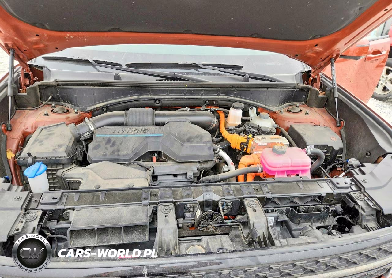 2025 Hyundai Santa Fe Calligraphy VIN:5NMP5DG15SH030331 - 12