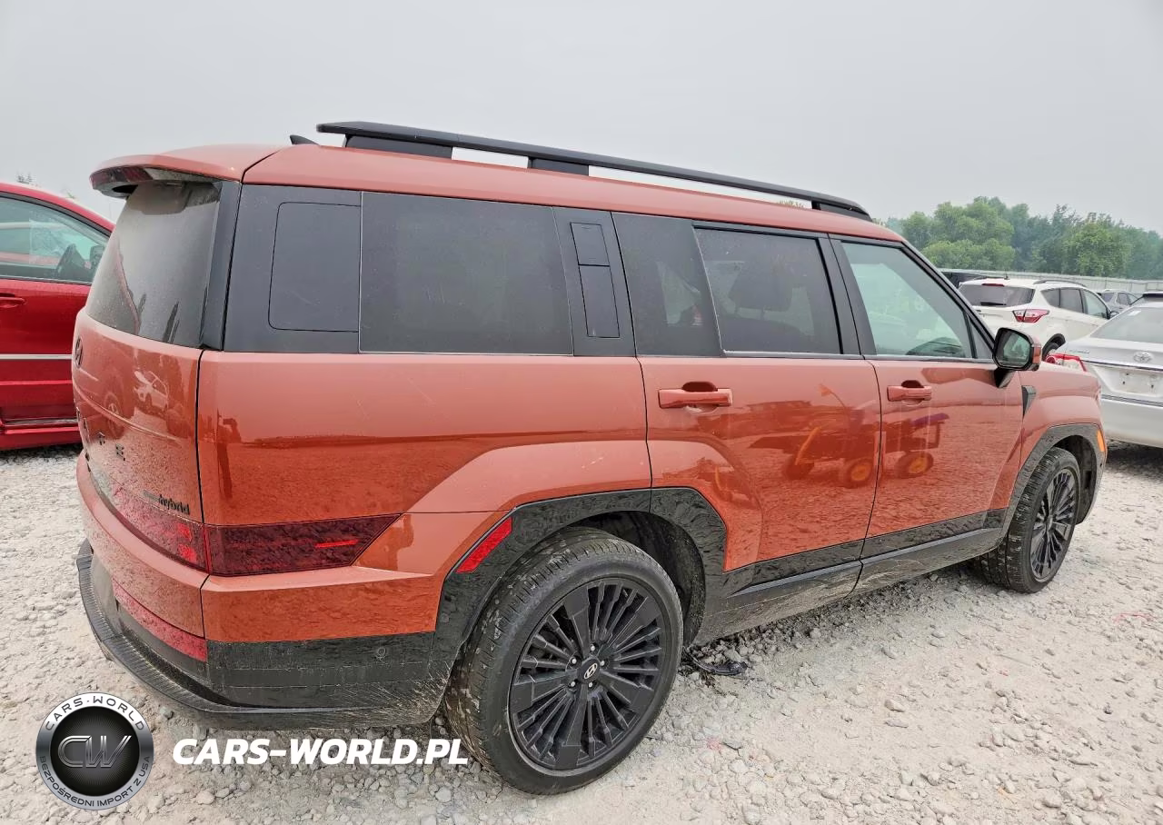2025 Hyundai Santa Fe Calligraphy VIN:5NMP5DG15SH030331 - 3
