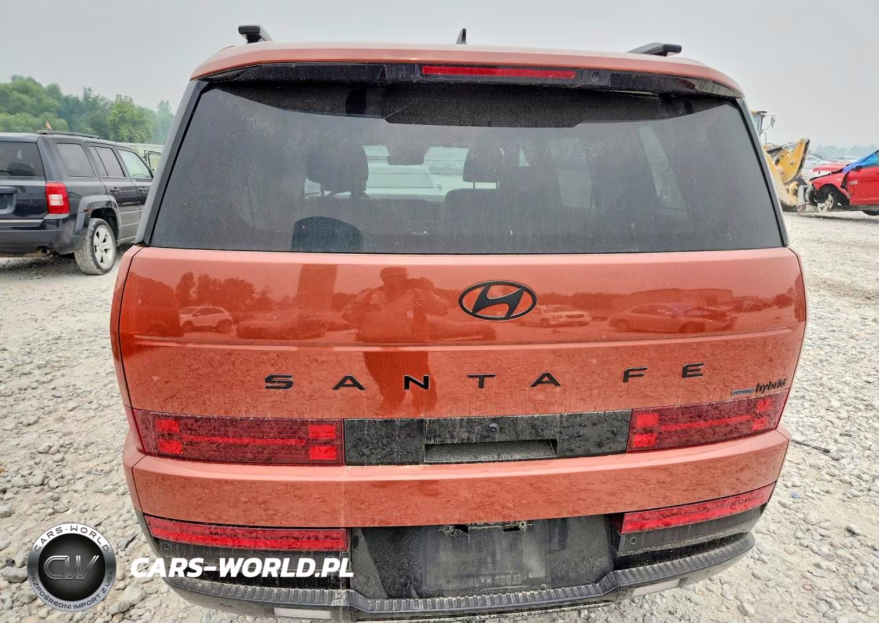 2025 Hyundai Santa Fe Calligraphy VIN:5NMP5DG15SH030331 - 6