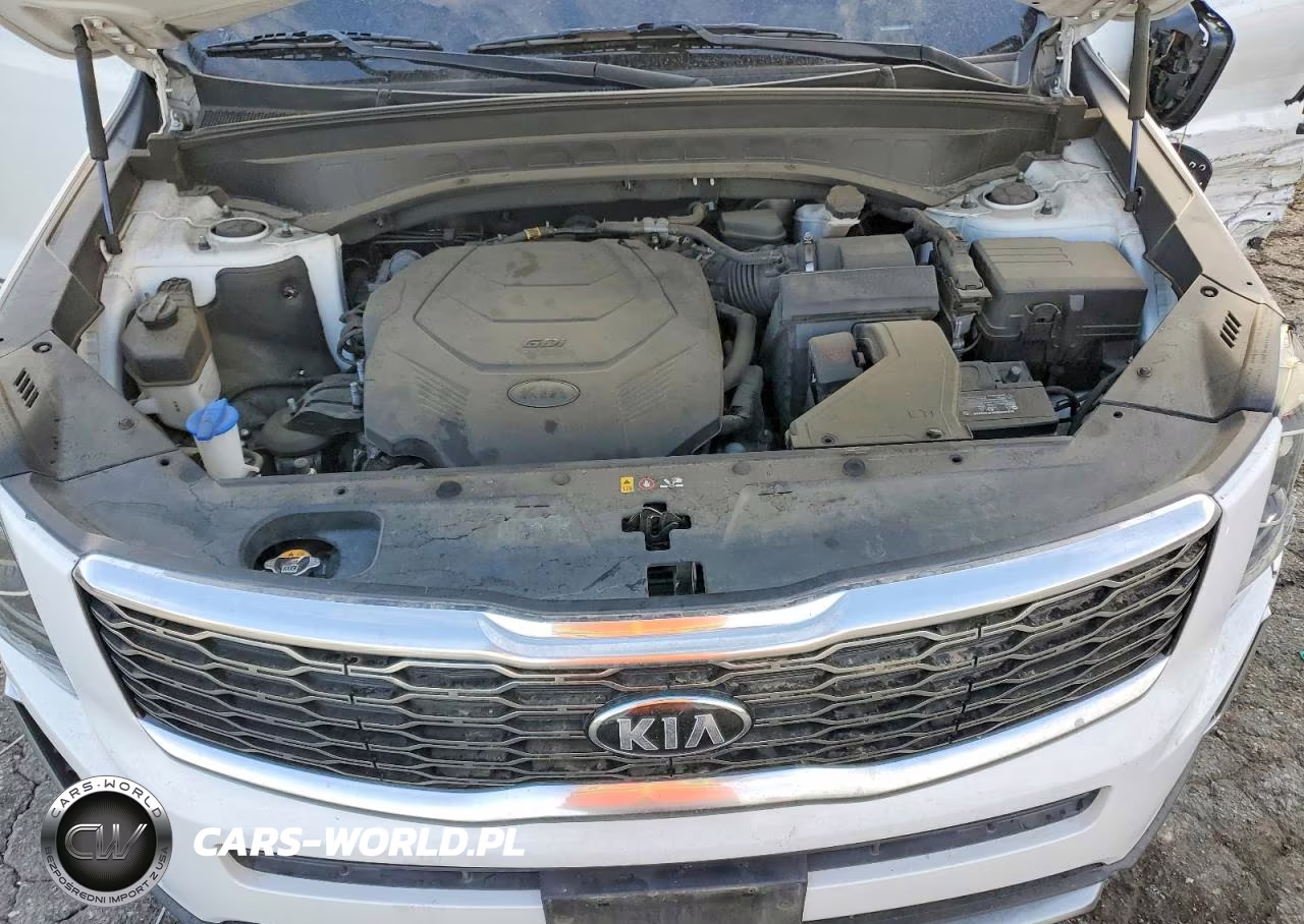 2020 Kia Telluride S VIN:5XYP6DHCXLG096026 - 12