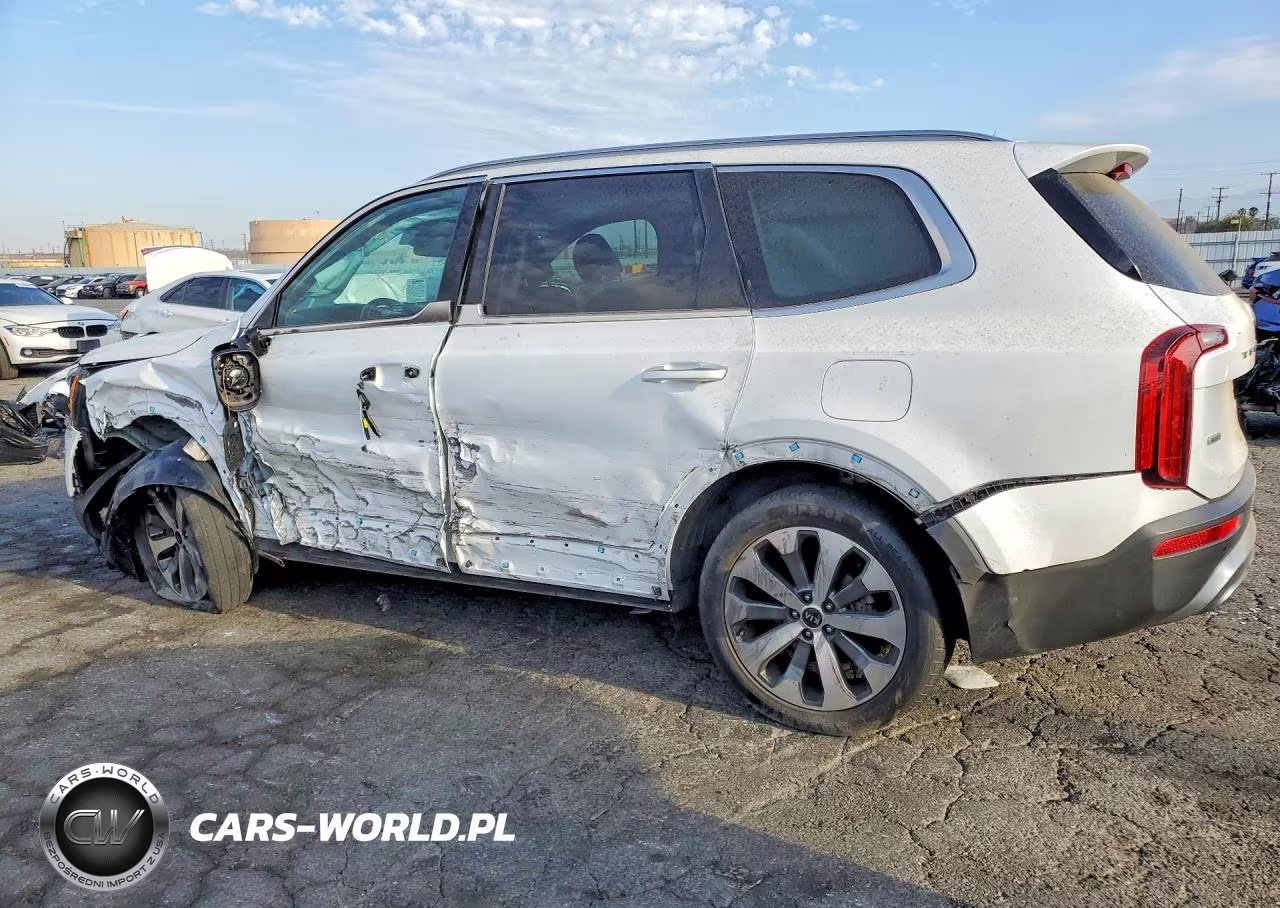 2020 Kia Telluride S VIN:5XYP6DHCXLG096026 - 2