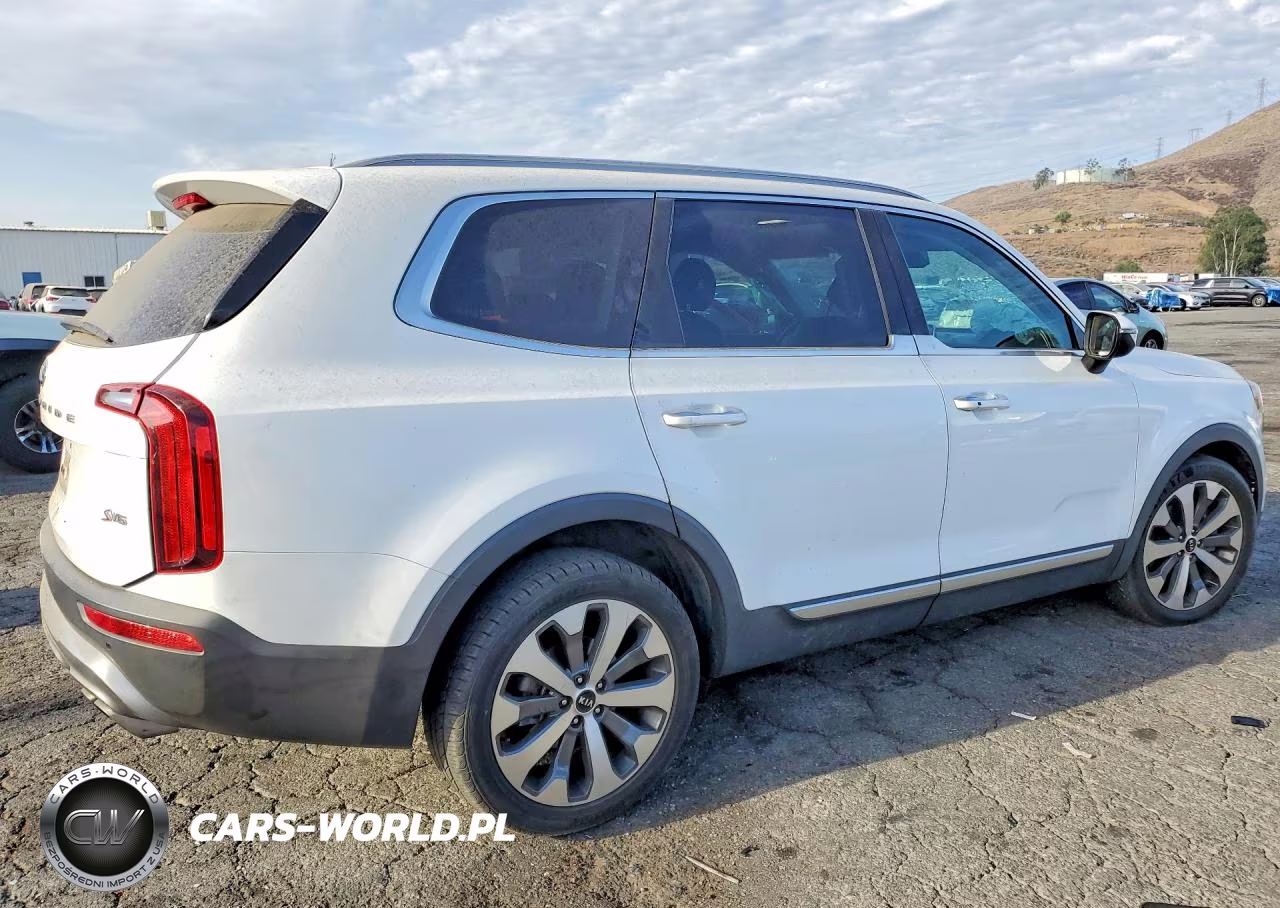 2020 Kia Telluride S VIN:5XYP6DHCXLG096026 - 3