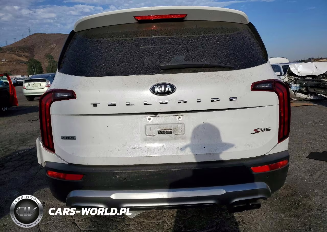 2020 Kia Telluride S VIN:5XYP6DHCXLG096026 - 6