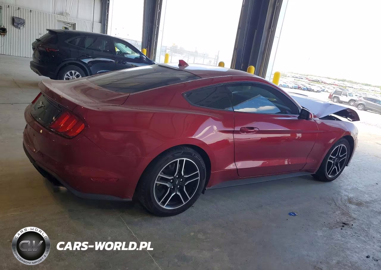 2021 Ford Mustang VIN:1FA6P8TH1M5119390 - 3