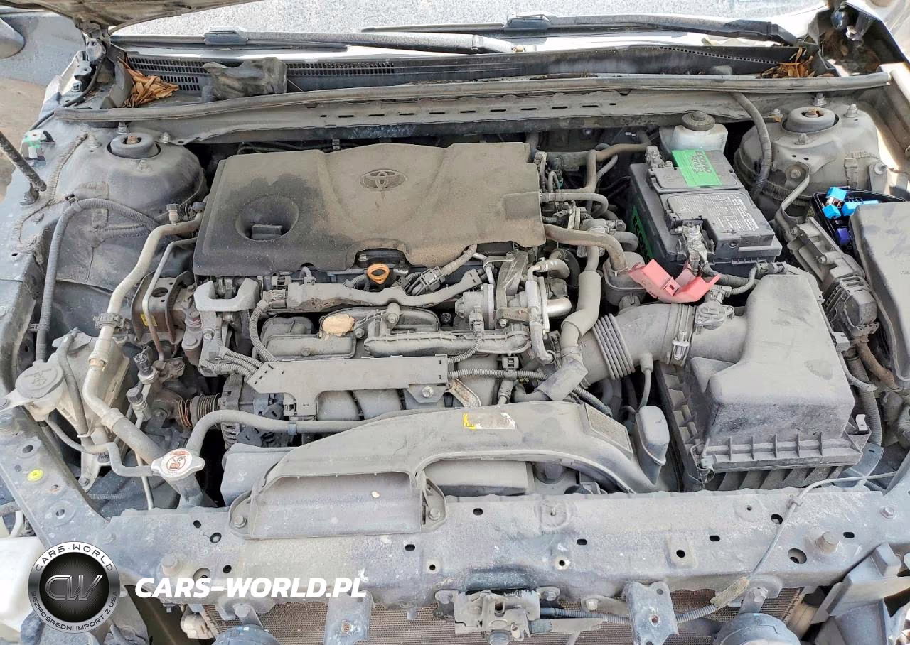 2019 Toyota Camry Le VIN:4T1B11HK4KU196226 - 11