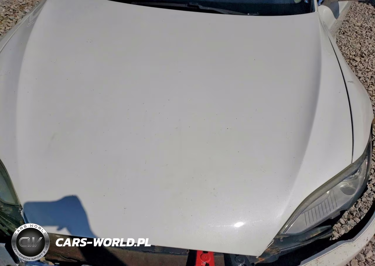 2013 Tesla Model S VIN:5YJSA1DP7DFP06103 - 12