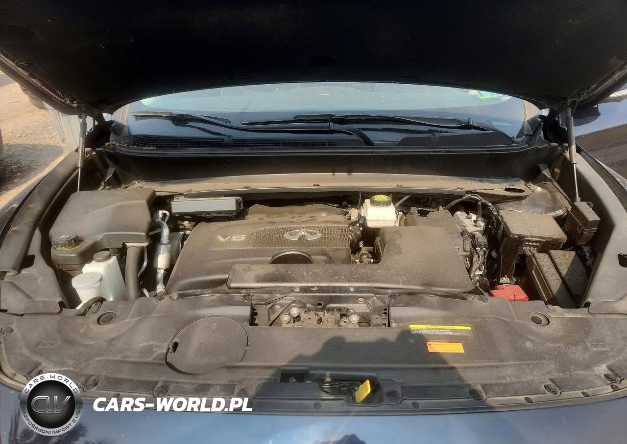2020 Infiniti Qx60 Luxe VIN:5N1DL0MM7LC528445 - 12