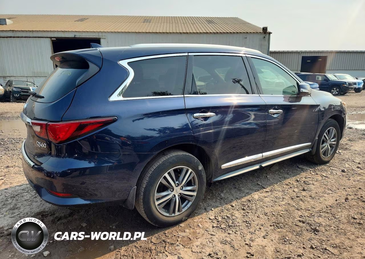 2020 Infiniti Qx60 Luxe VIN:5N1DL0MM7LC528445 - 3