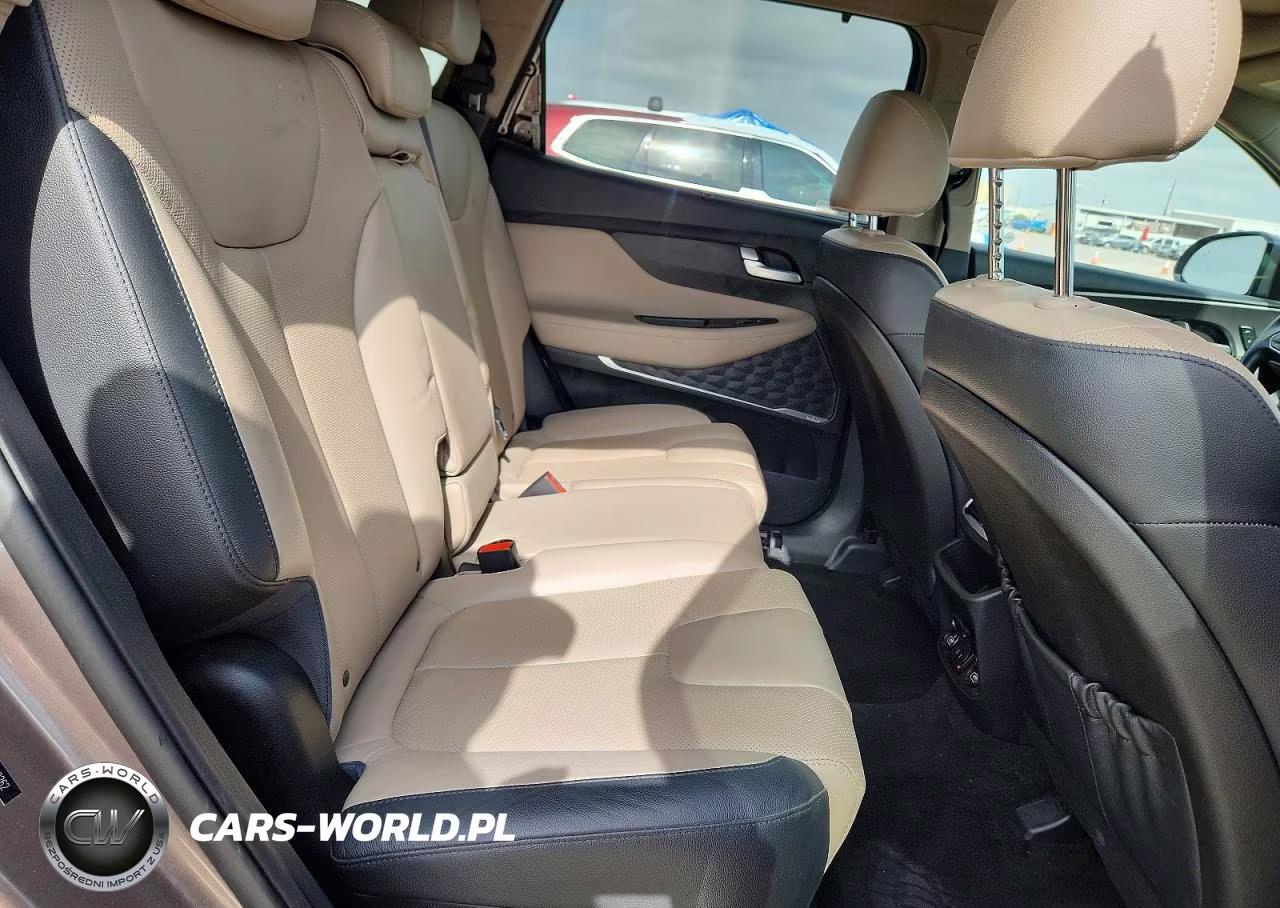 2020 Hyundai Santa Fe Limited 2.0T VIN:5NMS53AA7LH272262 - 10