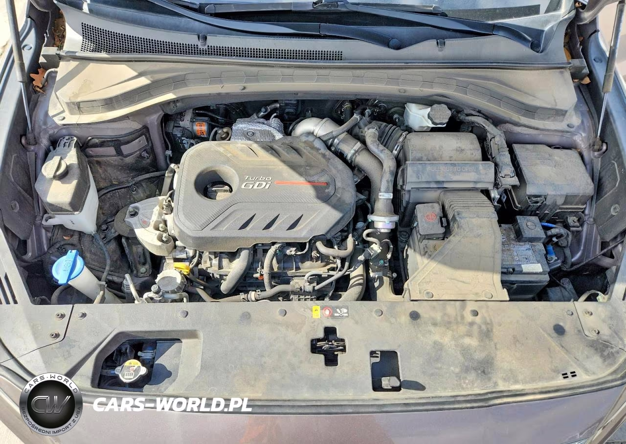 2020 Hyundai Santa Fe Limited 2.0T VIN:5NMS53AA7LH272262 - 11