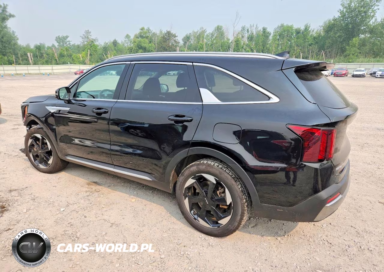 2025 Kia Sorento Ex VIN:KNDRJDJH9S5299803 - 2