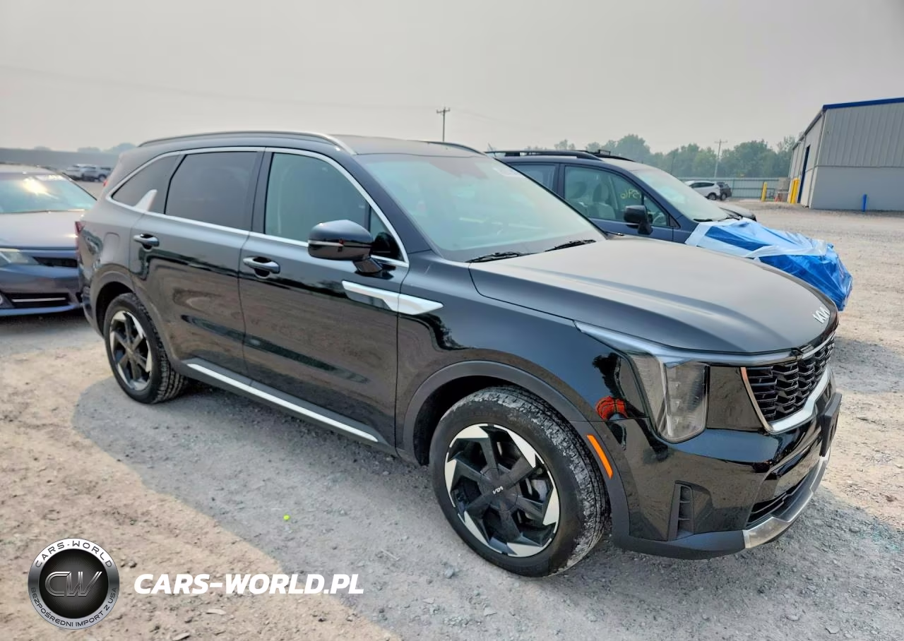 2025 Kia Sorento Ex VIN:KNDRJDJH9S5299803 - 4