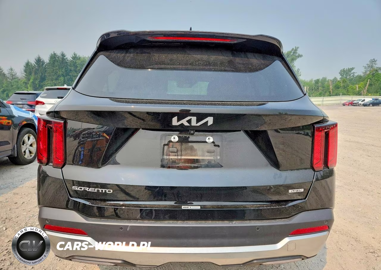 2025 Kia Sorento Ex VIN:KNDRJDJH9S5299803 - 6