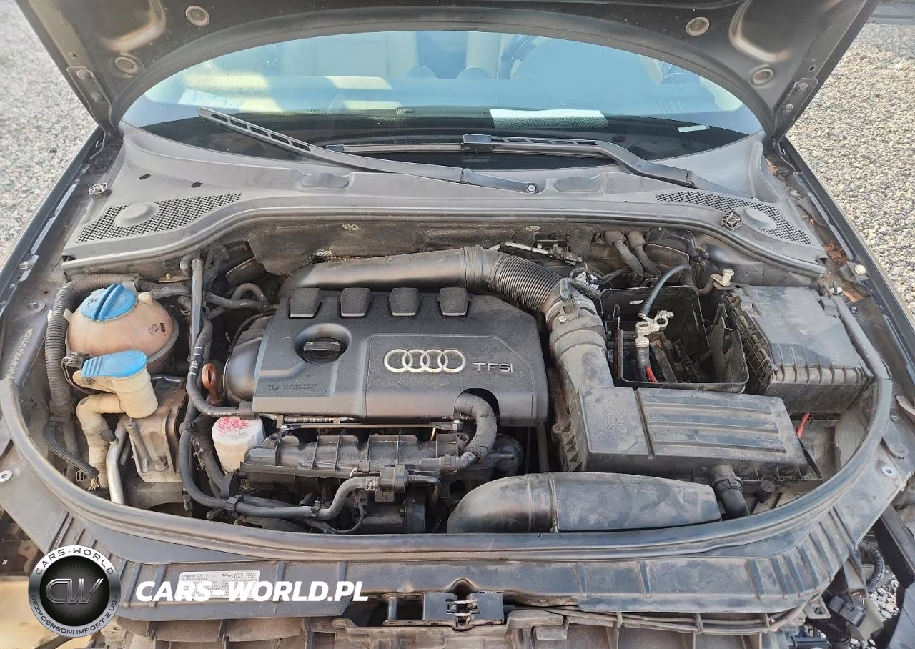 2012 Audi A3 Premium Plus VIN:WAUKEAFM3CA127122 - 11