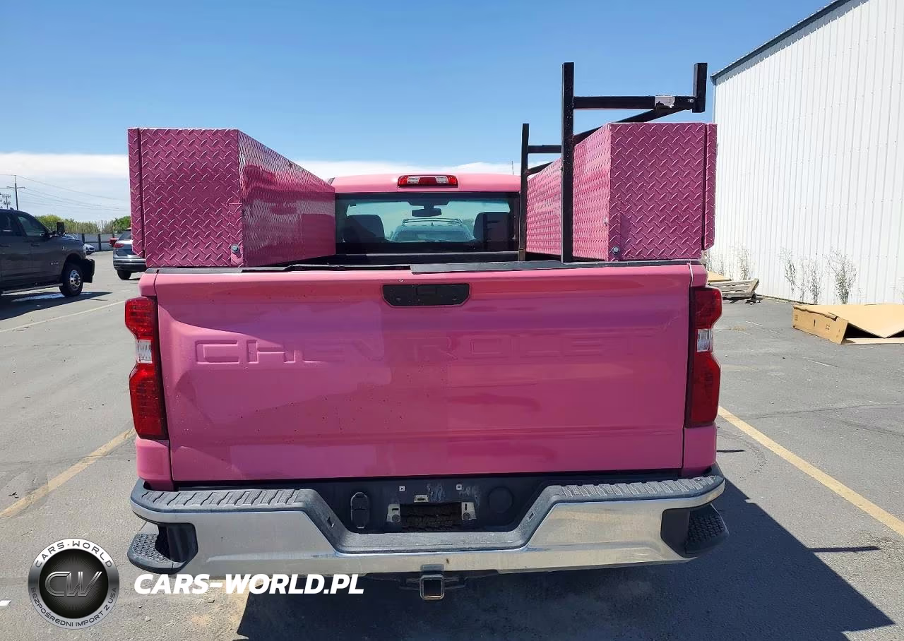 2020 Chevrolet Silverado C1500 VIN:3GCNWAEF0LG254122 - 10