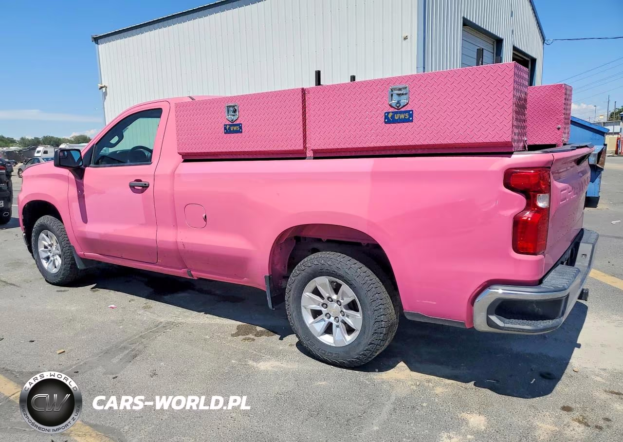 2020 Chevrolet Silverado C1500 VIN:3GCNWAEF0LG254122 - 2