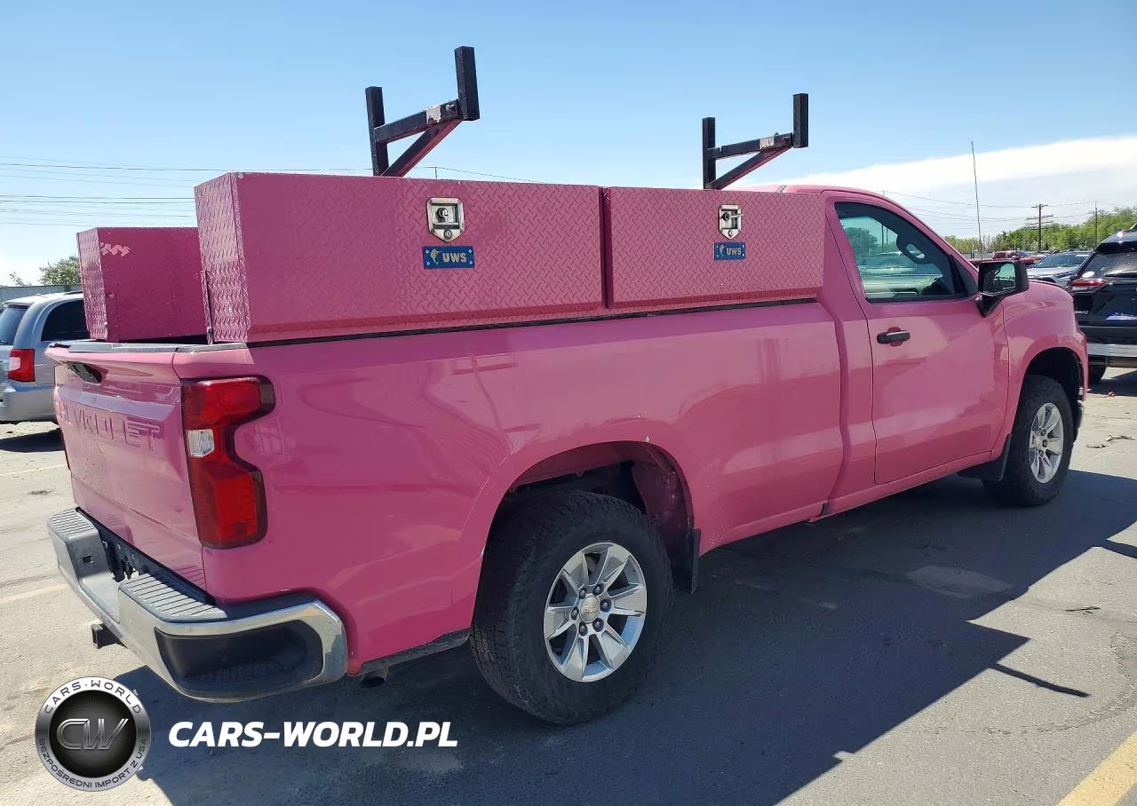 2020 Chevrolet Silverado C1500 VIN:3GCNWAEF0LG254122 - 3