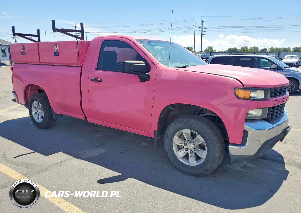 2020 Chevrolet Silverado C1500 VIN:3GCNWAEF0LG254122 - 4