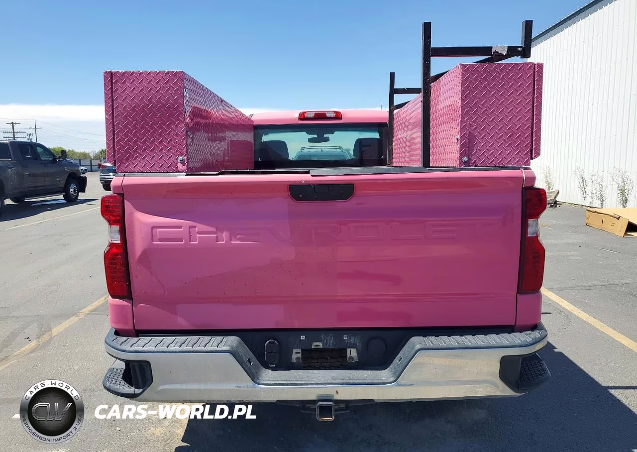 2020 Chevrolet Silverado C1500 VIN:3GCNWAEF0LG254122 - 6