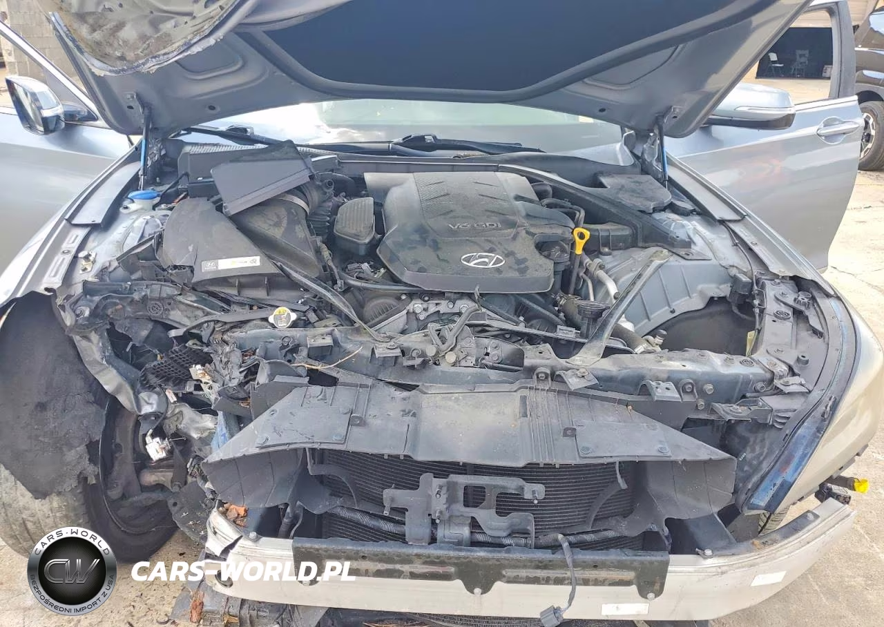 2015 Hyundai Genesis 3.8L VIN:KMHGN4JE6FU086879 - 11