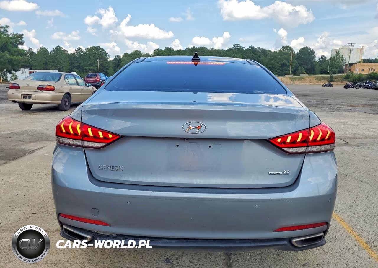 2015 Hyundai Genesis 3.8L VIN:KMHGN4JE6FU086879 - 6