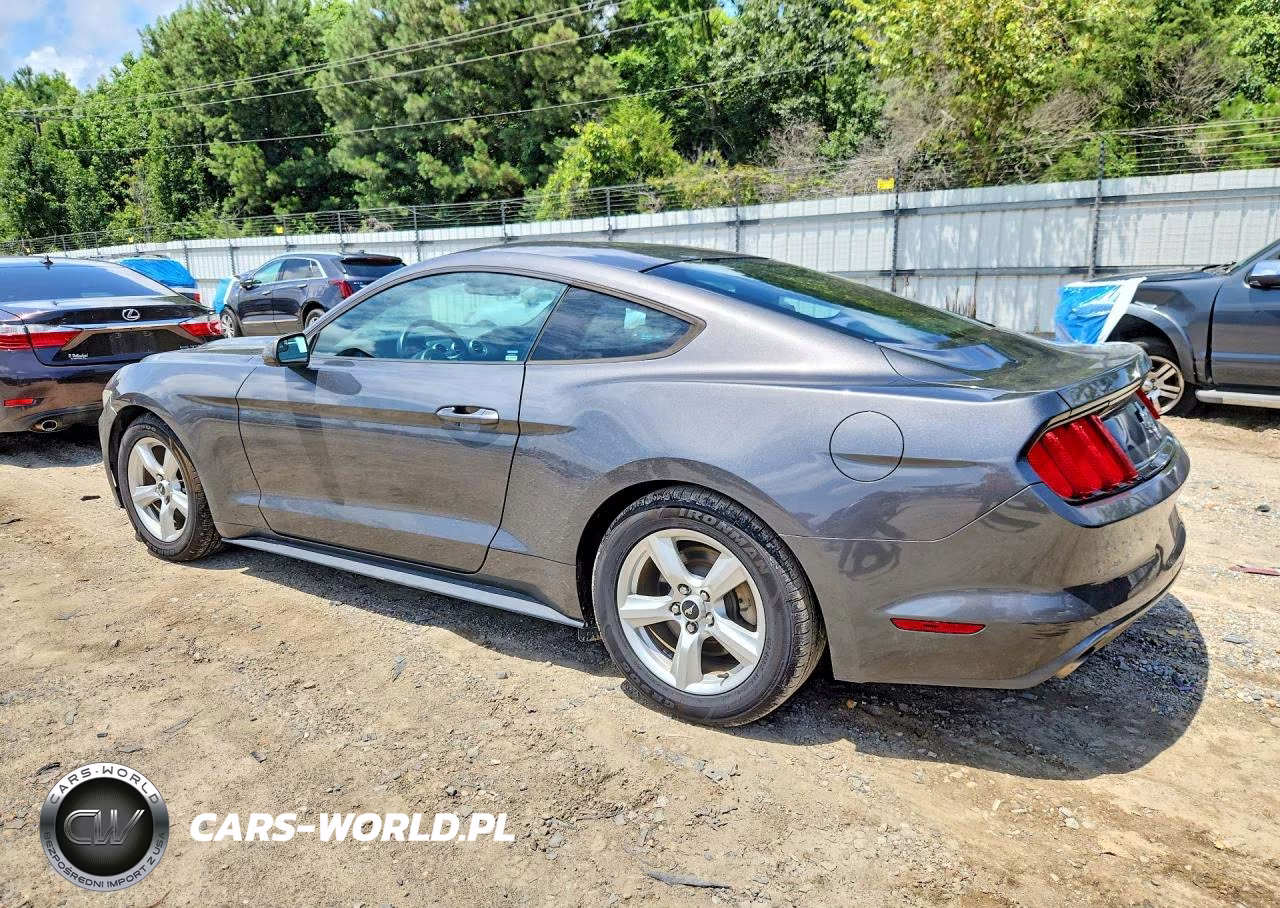 2017 Ford Mustang VIN:1FA6P8AM7H5224702 - 2