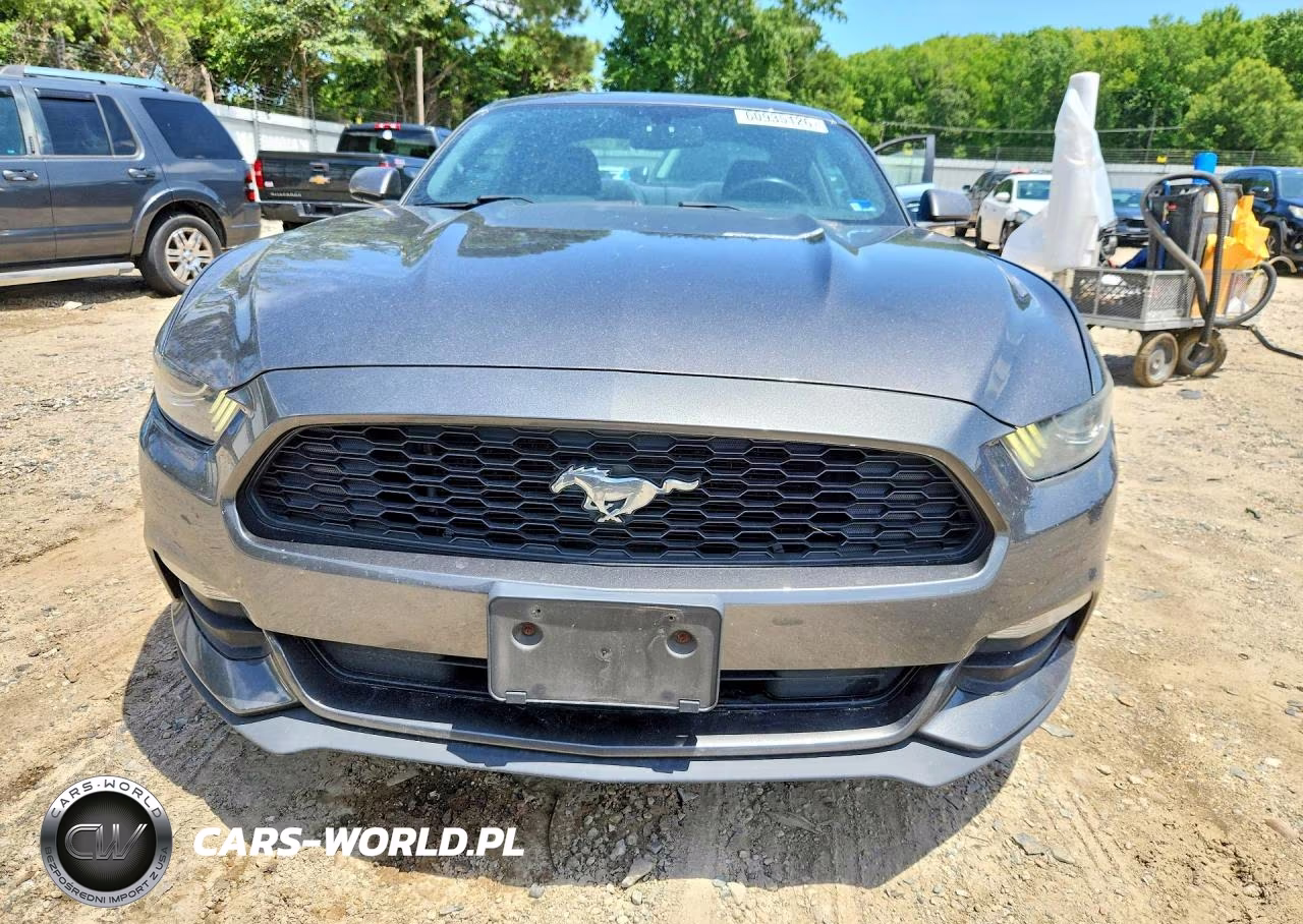 2017 Ford Mustang VIN:1FA6P8AM7H5224702 - 5