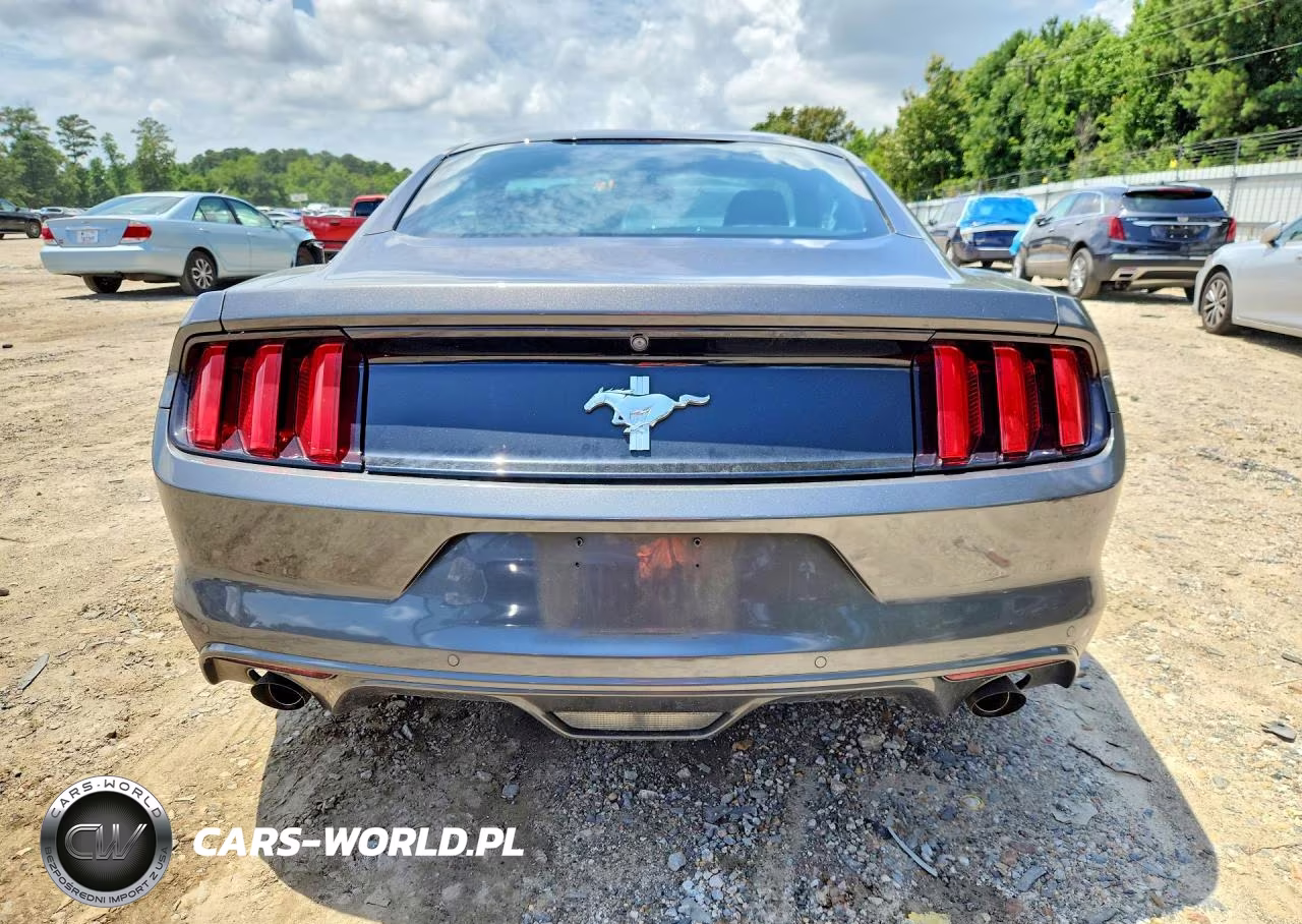 2017 Ford Mustang VIN:1FA6P8AM7H5224702 - 6