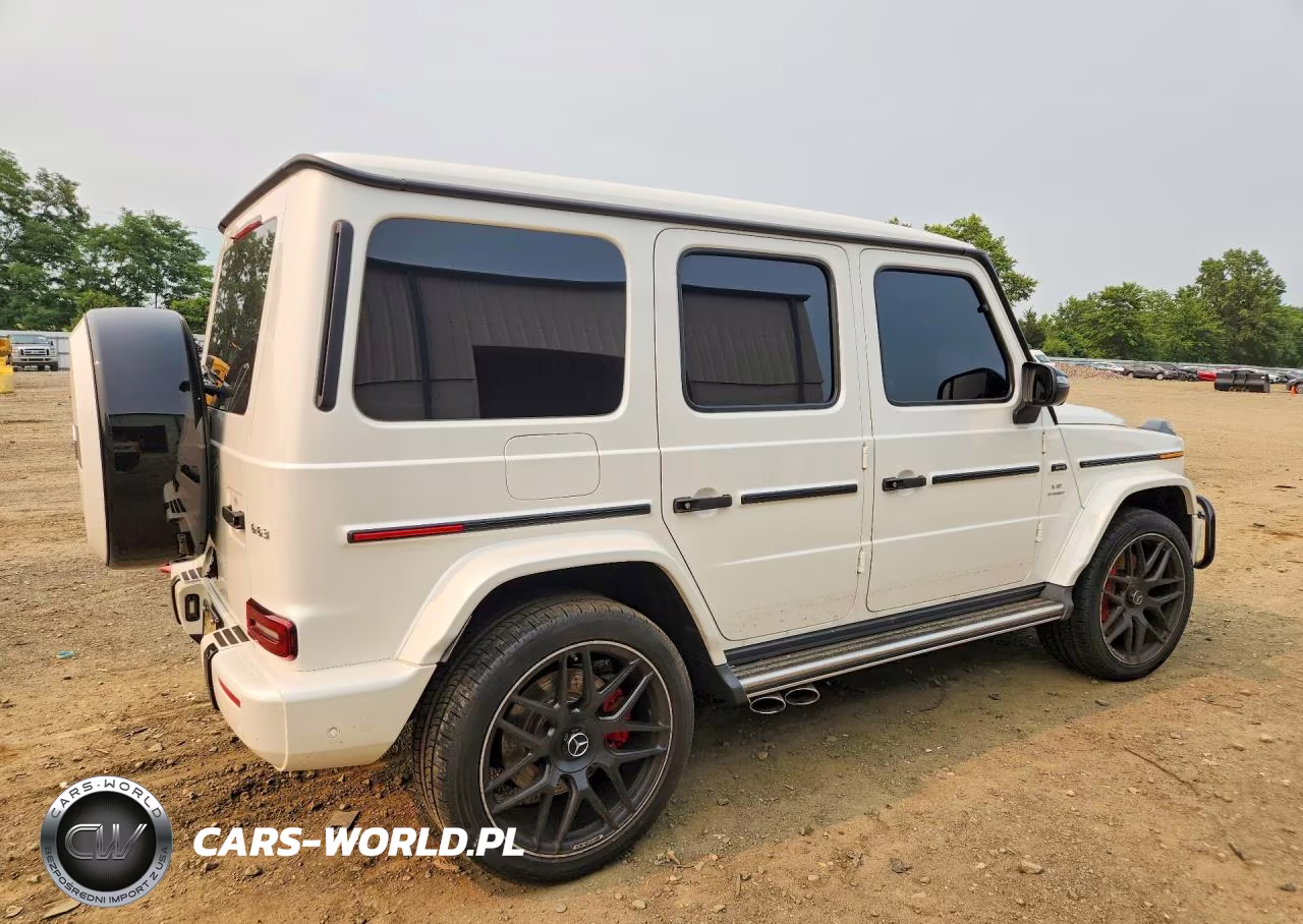 1991 Mercedes-Benz G 63 Amg VIN:WDCYC7HJ8KX331591 - 3