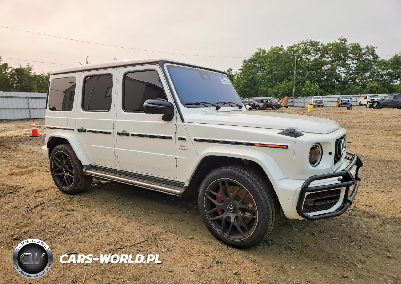 1991 Mercedes-Benz G 63 Amg VIN:WDCYC7HJ8KX331591 - 4