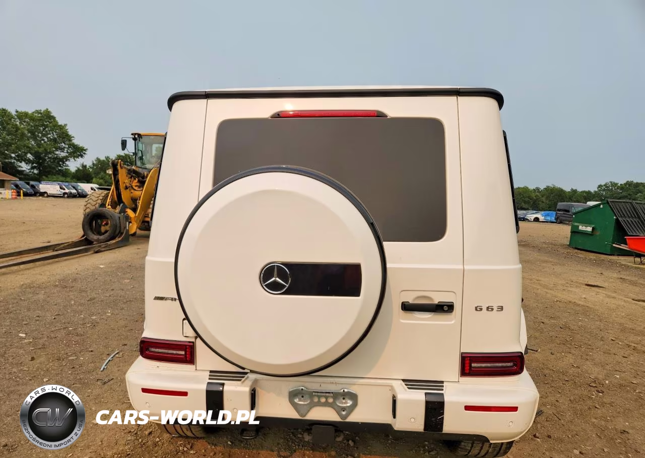 1991 Mercedes-Benz G 63 Amg VIN:WDCYC7HJ8KX331591 - 6