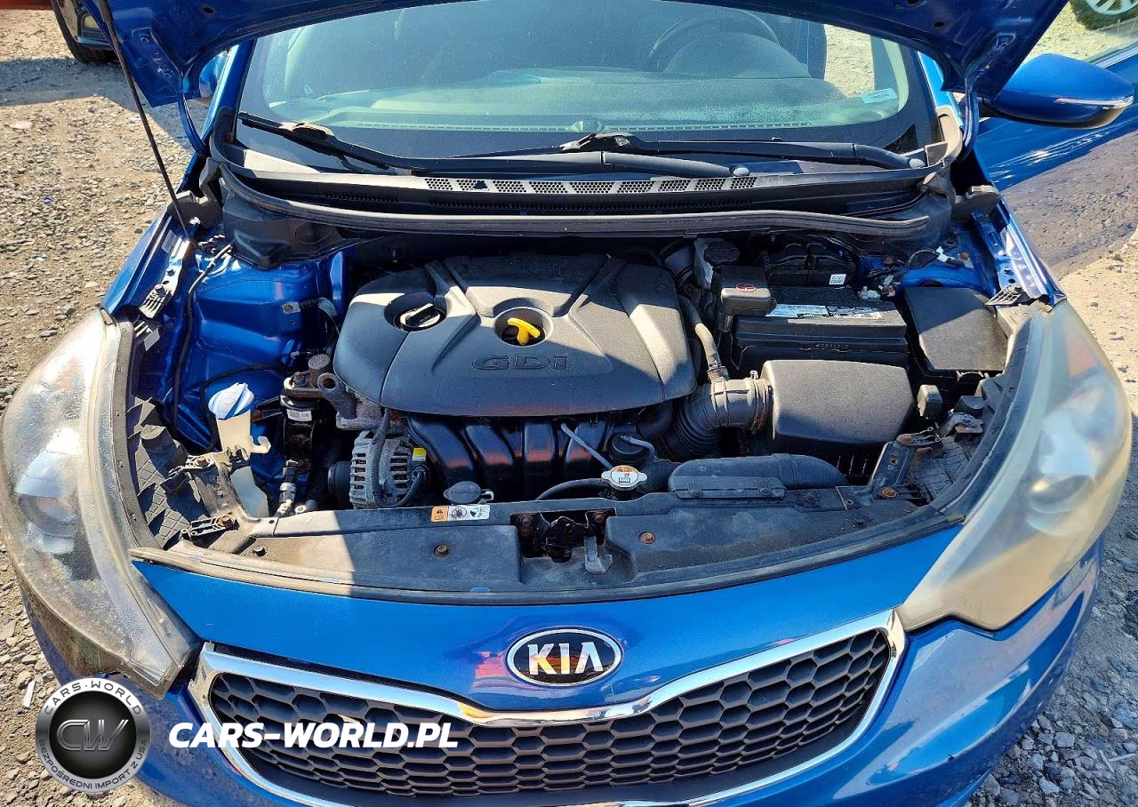 2014 Kia Forte Ex VIN:KNAFX5A85E5160387 - 11