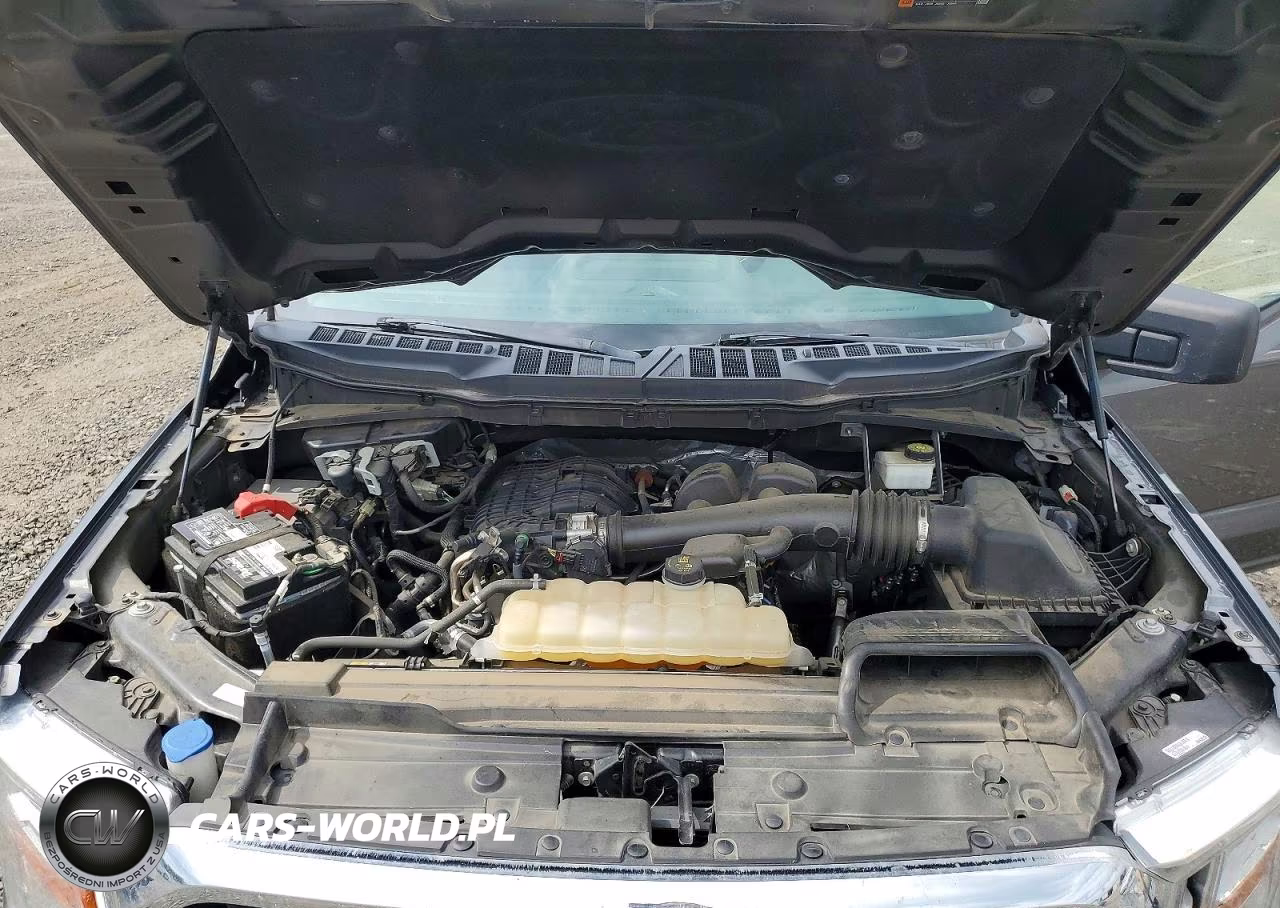 2022 Ford F150 Supercrew VIN:1FTEW1CB8NKD57364 - 11