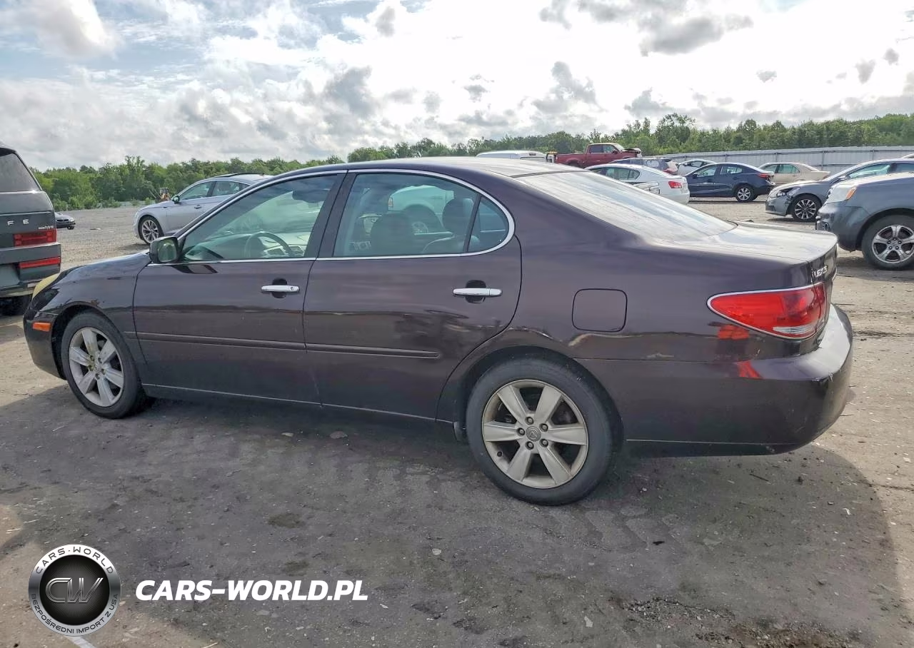 2005 Lexus Es 330 VIN:JTHBA30G155105403 - 2