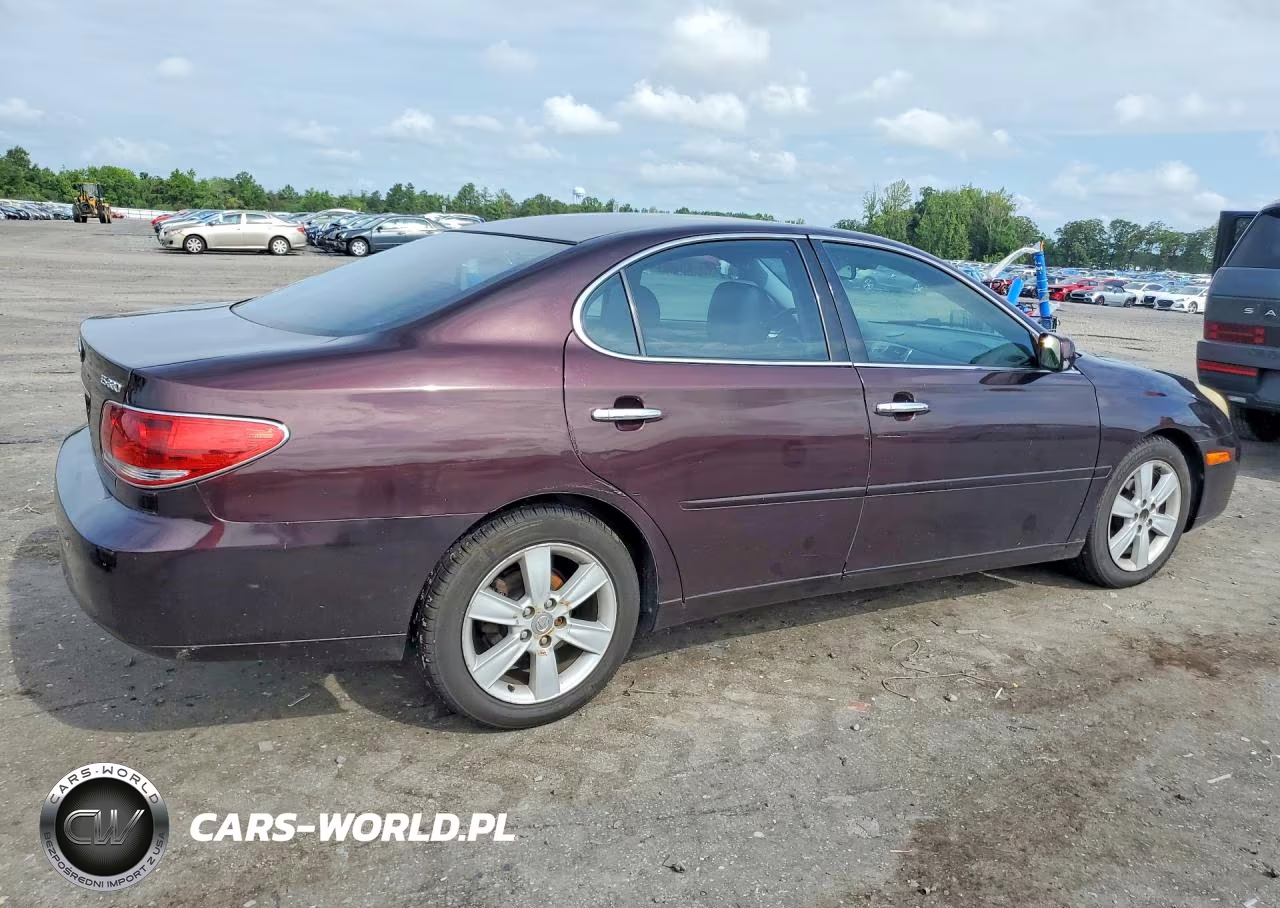 2005 Lexus Es 330 VIN:JTHBA30G155105403 - 3