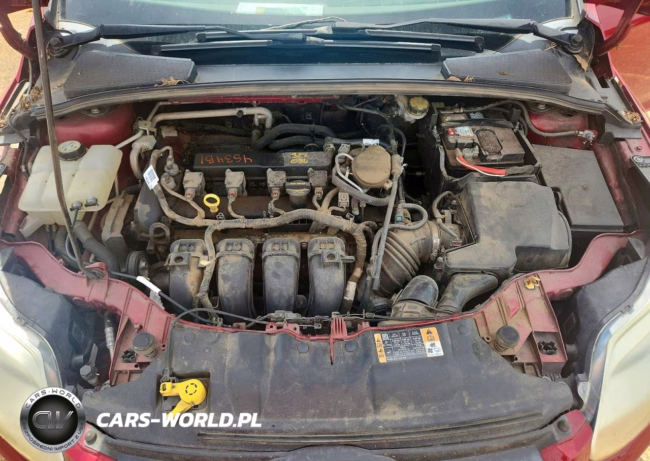 2014 Ford Focus Se VIN:1FADP3K25EL303445 - 11