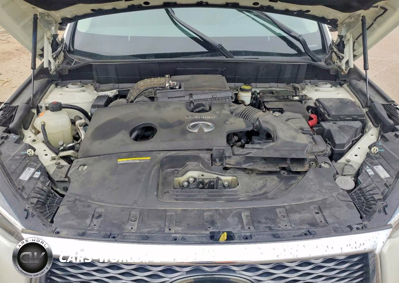 2019 Infiniti Qx50 Essential VIN:3PCAJ5M17KF117760 - 12