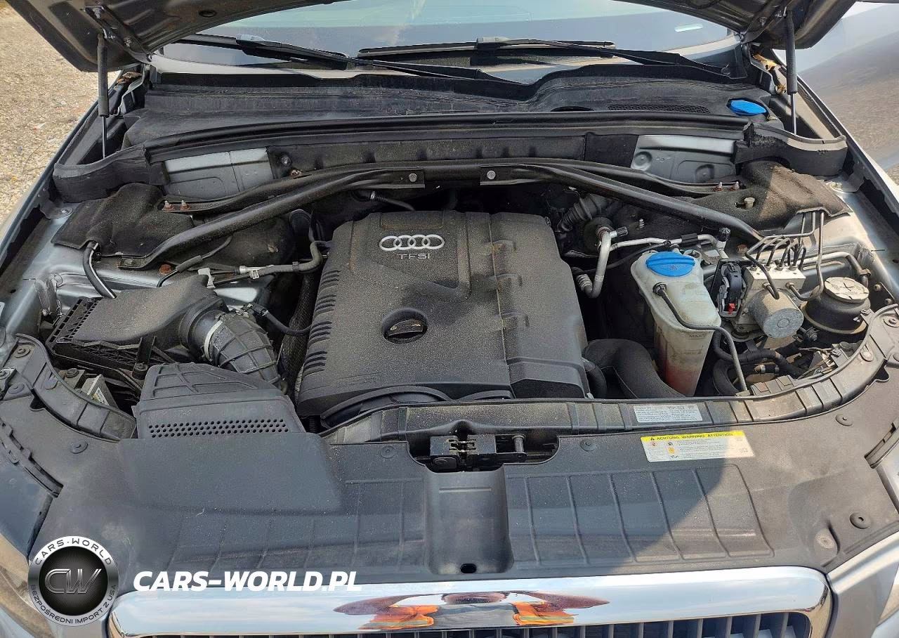 2011 Audi Q5 Premium Plus VIN:WA1LFAFP5BA006356 - 12