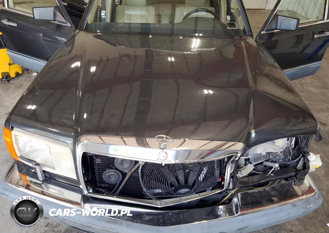1989 Mercedes-Benz 300 Se VIN:WDBCA24E3KA485001 - 11