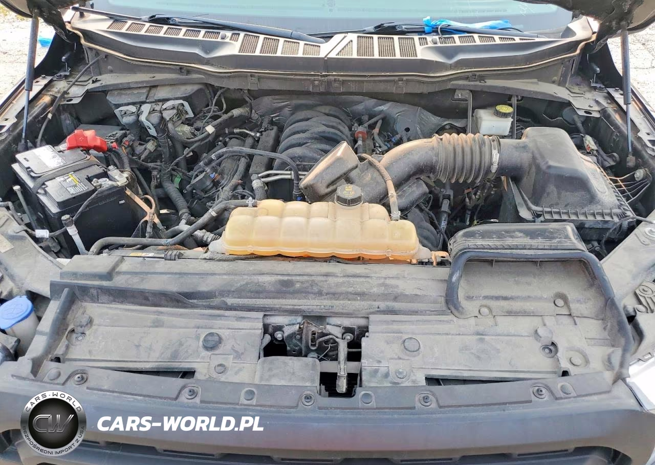 2021 Ford F150 Supercrew VIN:1FTFW1E55MFA67294 - 11