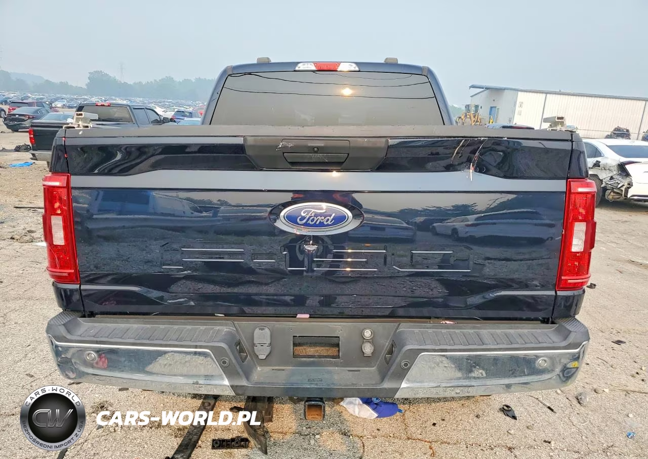 2021 Ford F150 Supercrew VIN:1FTFW1E55MFA67294 - 6